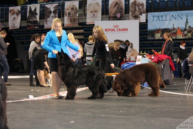 Фотография № 116379