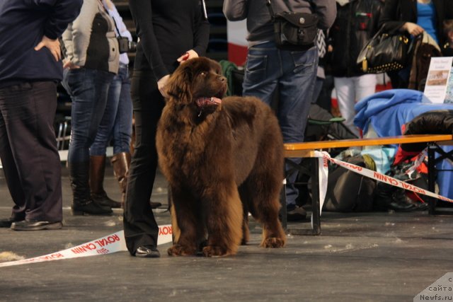 Фотография № 116380