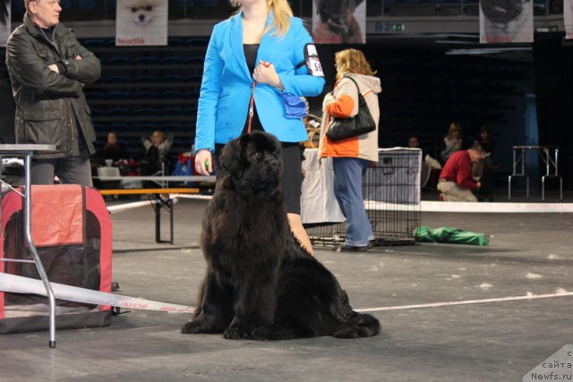 Фотография № 116381