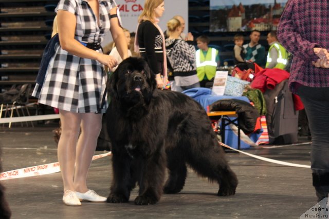 Фотография № 116384