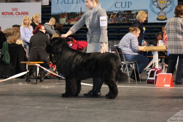 Фотография № 116387