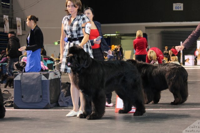 Фотография № 116388