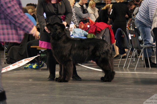 Фотография № 116389