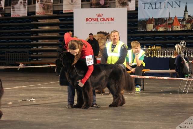 Фотография № 116390