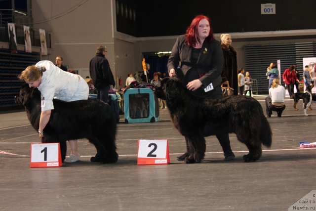 Фотография № 116392