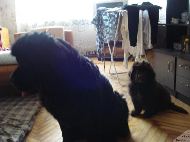 Фотография № 11640