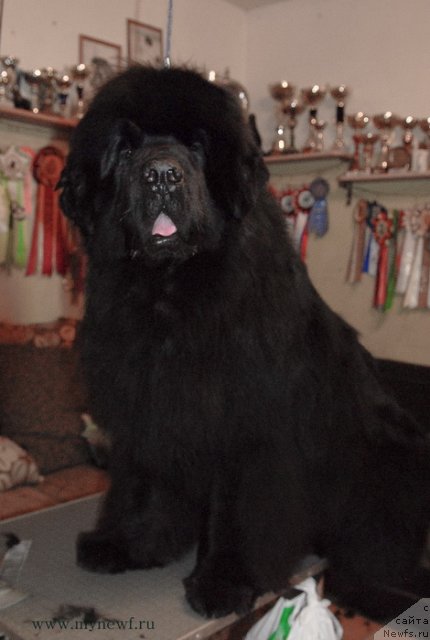 Фотография № 116414