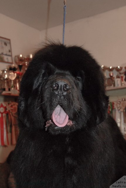 Фотография № 116420