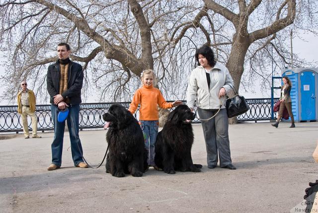Фото: ньюфаундленд Ygan s Toyanova Gorodka (Юган с Тоянова Городка), ньюфаундленд Lesnaya Skazka Roza CHernaya (Лесная Сказка Роза Черная)