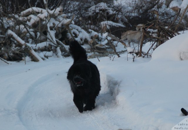 Фотография № 116467