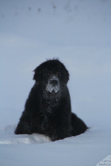 Фотография № 116470