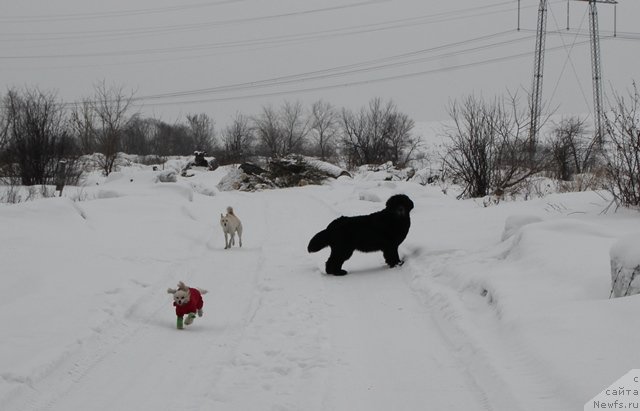 Фотография № 116472