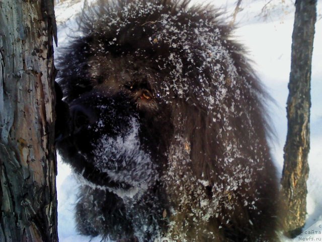 Фотография № 116481