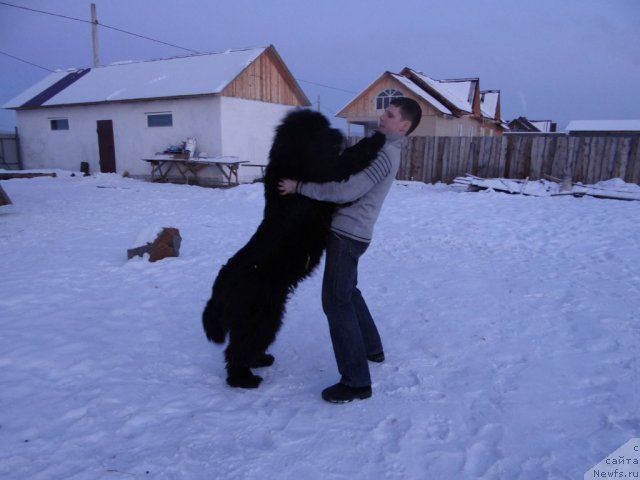 Фотография № 116492