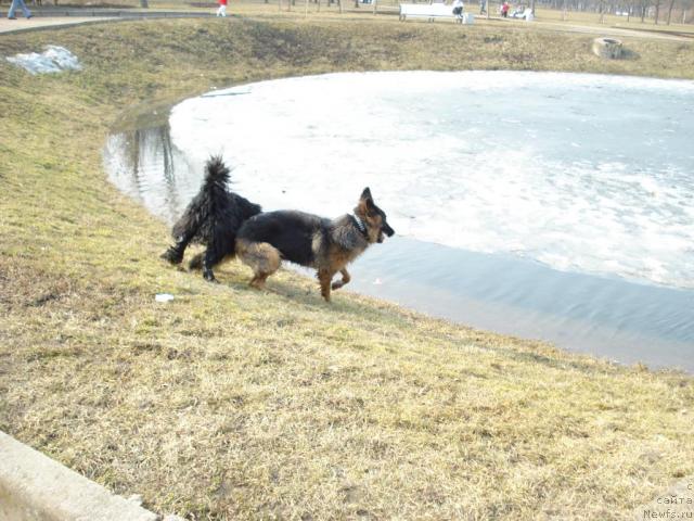 Фотография № 11650