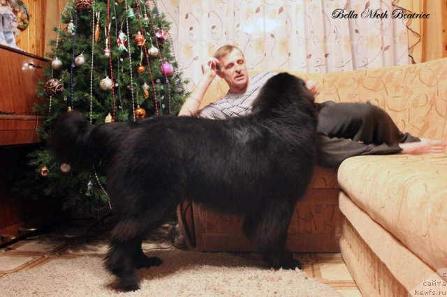 Фотография № 116501