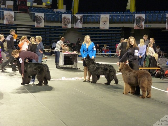 Фотография № 116502