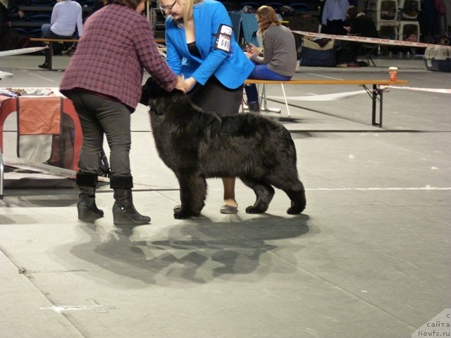 Фотография № 116504