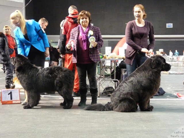 Фотография № 116505