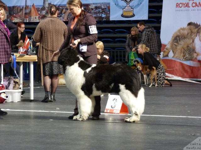 Фотография № 116509