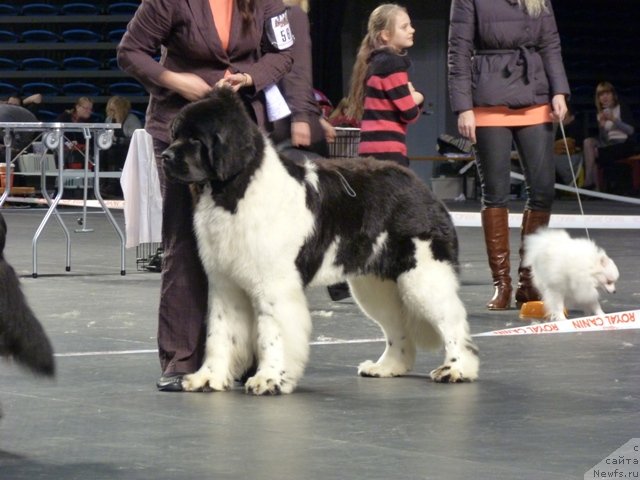 Фотография № 116510