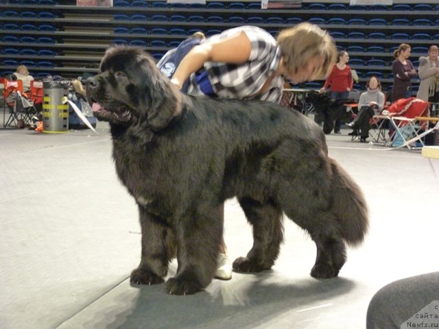 Фотография № 116515