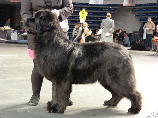 Фотография № 116518