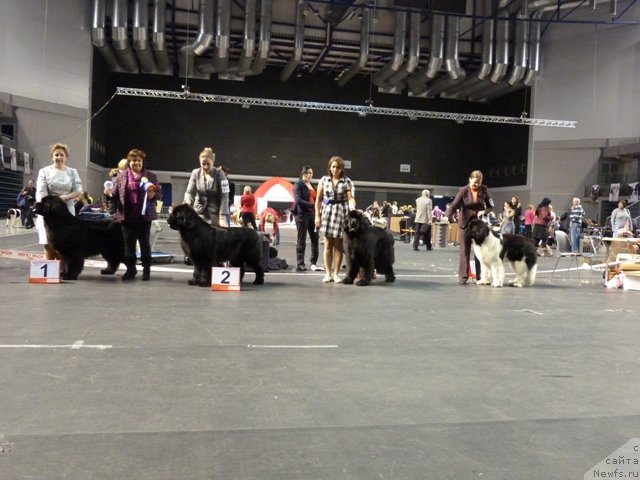 Фотография № 116519