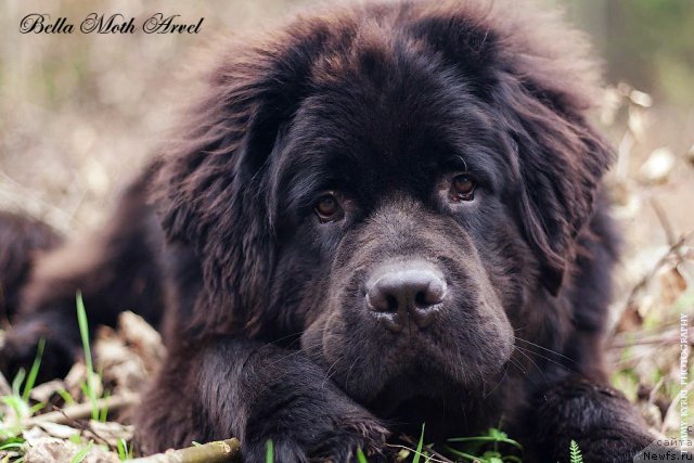 Фотография № 116520