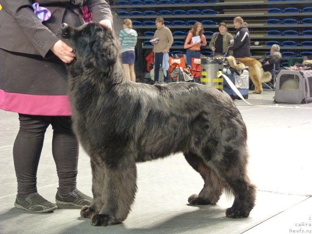 Фото: Diipadaapa Don`t Tell Mama