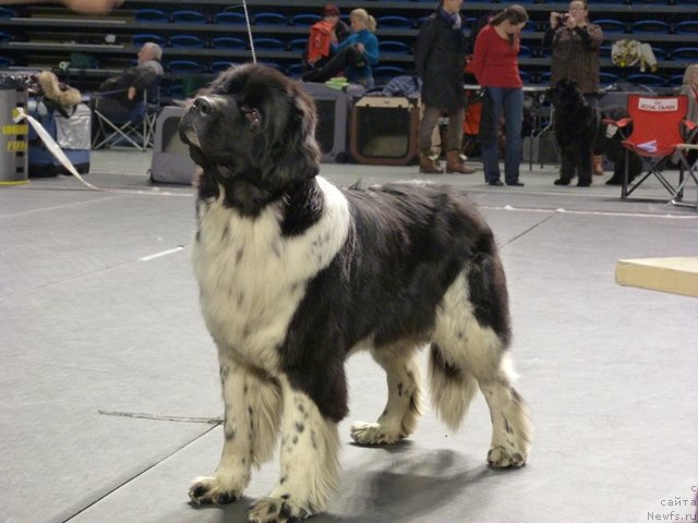 Фотография № 116523