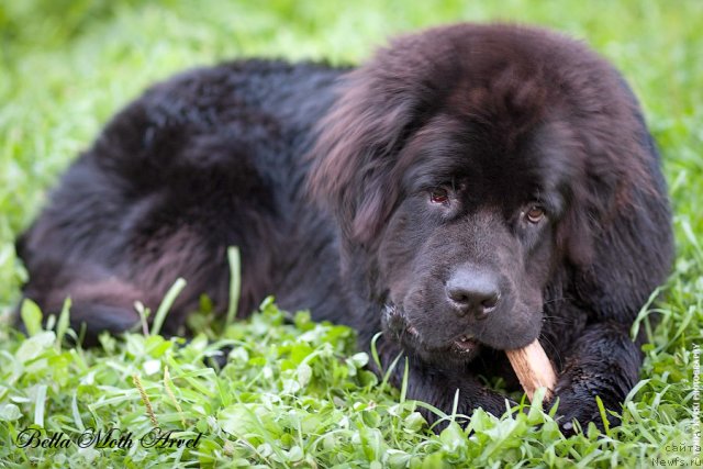 Фотография № 116524