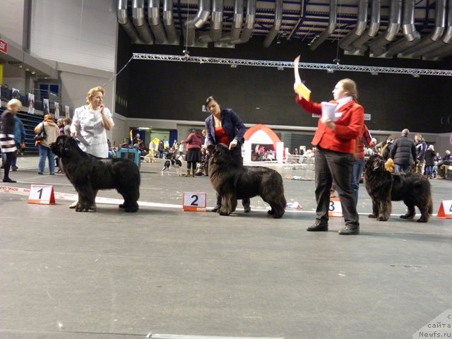 Фотография № 116529