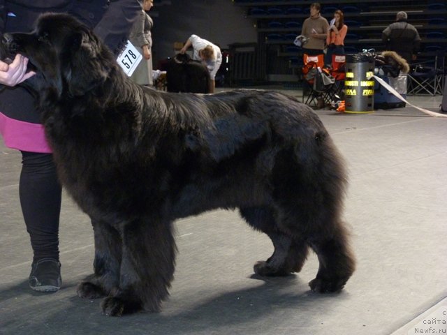 Фотография № 116532