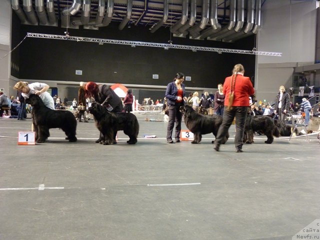 Фотография № 116533