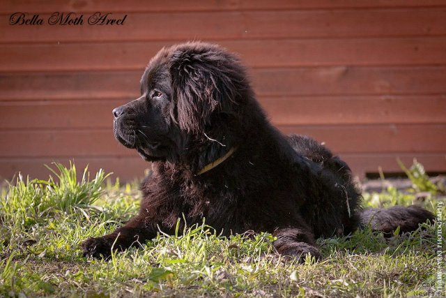 Фотография № 116537