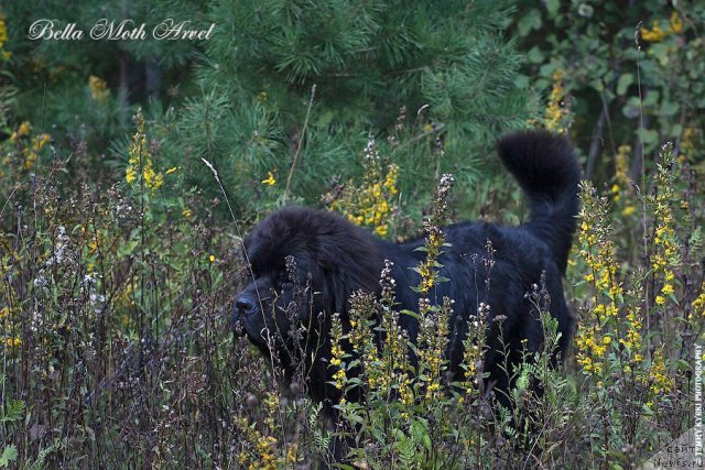 Фотография № 116539