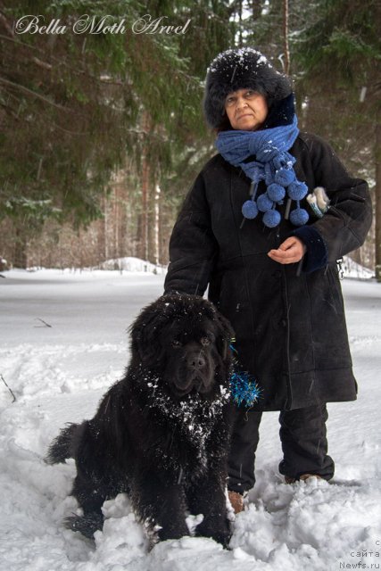 Фотография № 116540