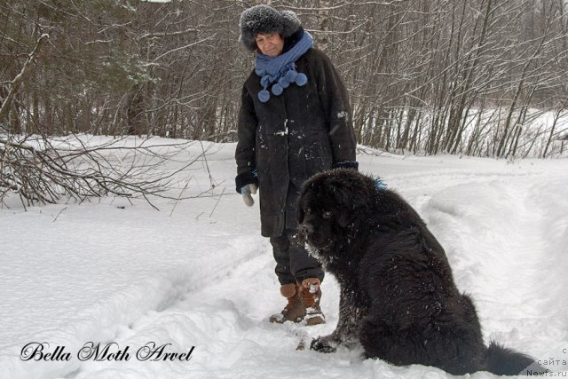 Фотография № 116542