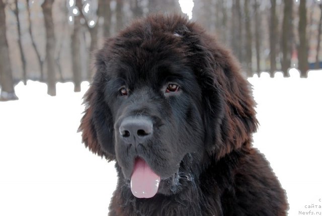 Фотография № 116554