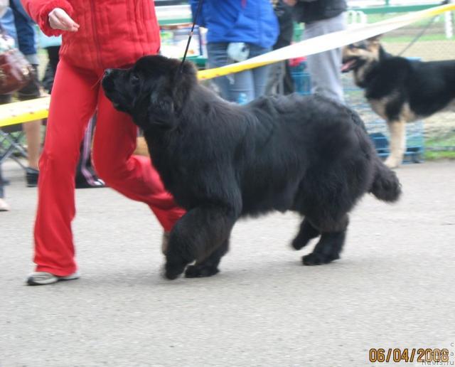 Фотография № 11657