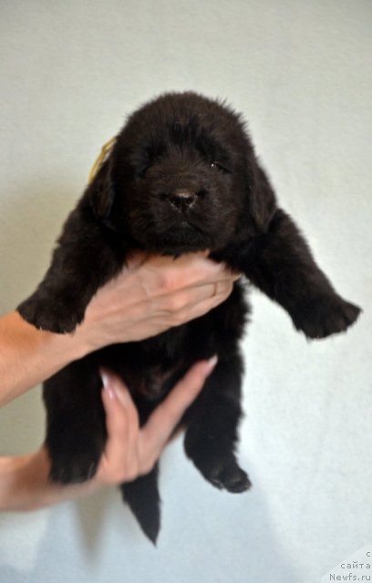 Фотография № 116570