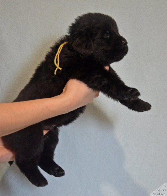 Фотография № 116571