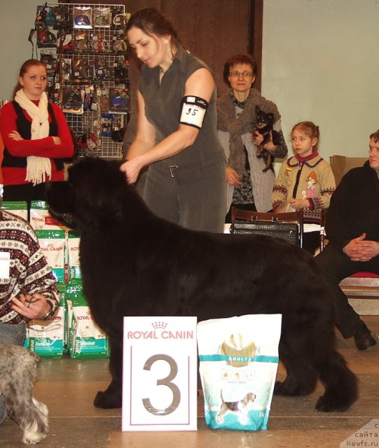 Фотография № 116611