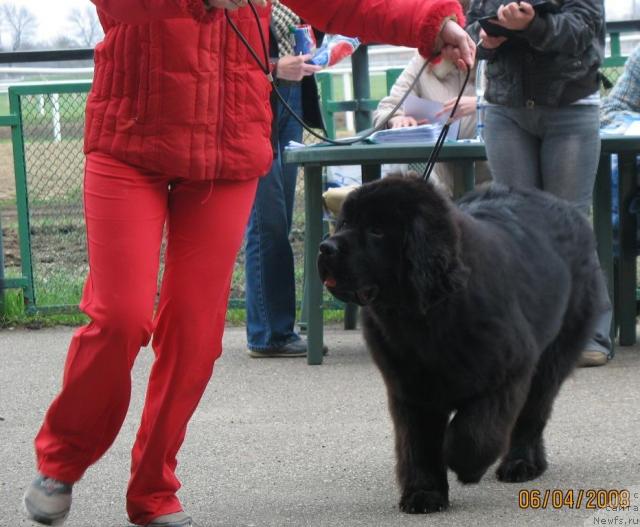 Фотография № 11663