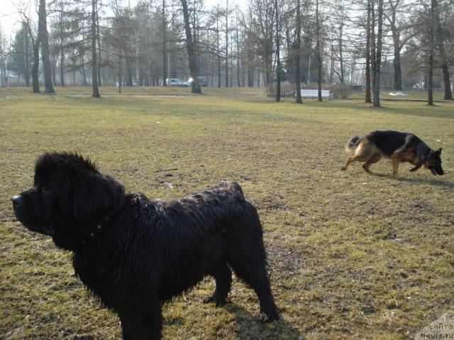 Фотография № 11664