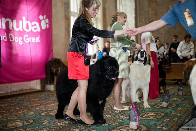 Фотография № 116646