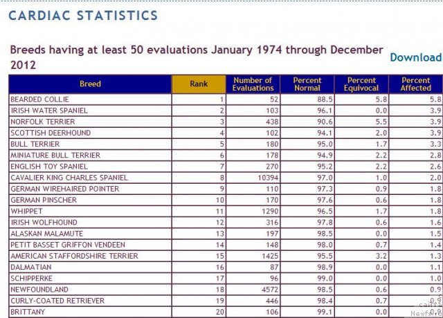 Фотография № 116660