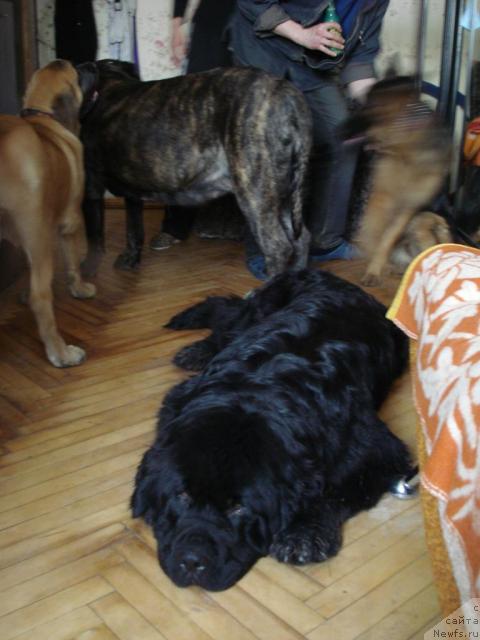 Фотография № 11668