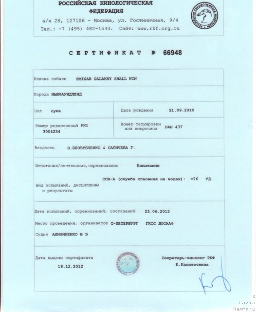 Фото: ньюфаундленд Smigar Galaxsy Shall Win (Смигар Галакси Шелл Вин)